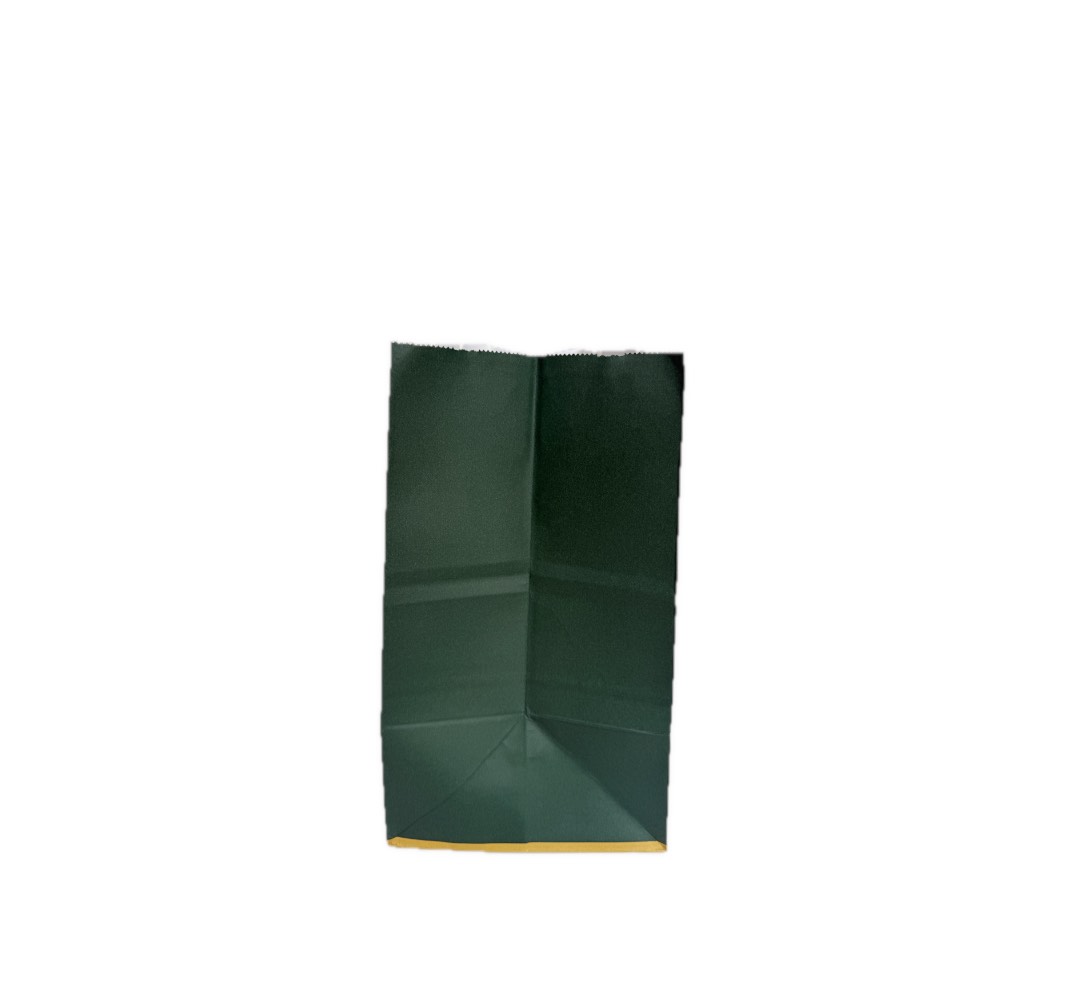 金龍軒墨綠色紙手挽袋